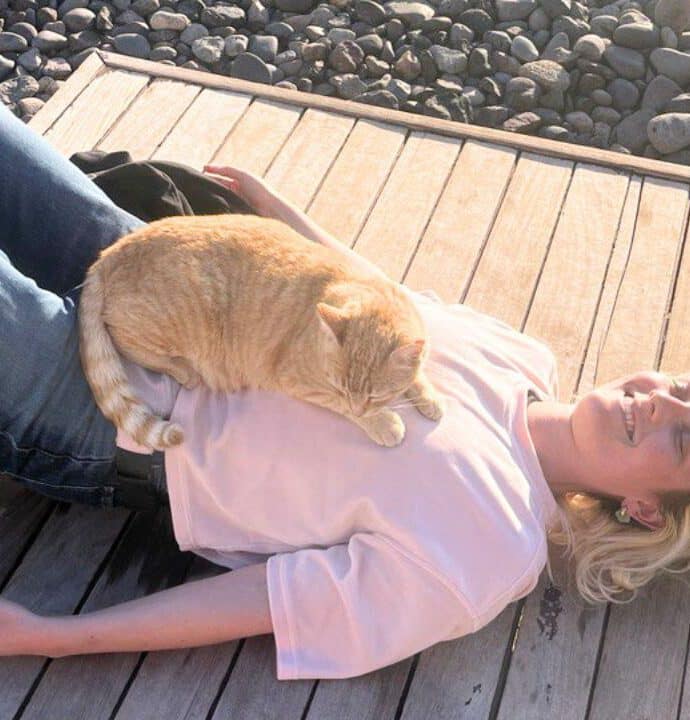 Auf der Suche nach Perfektion