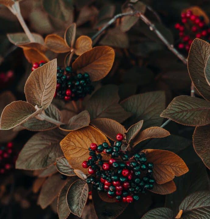 25 Dinge, die ich am Herbst mag