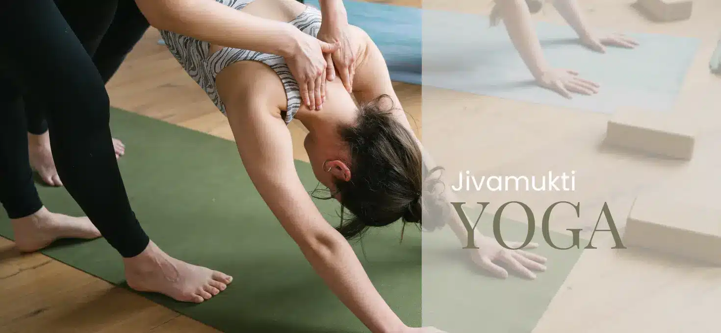 Jivamukti Yoga in Lüneburg