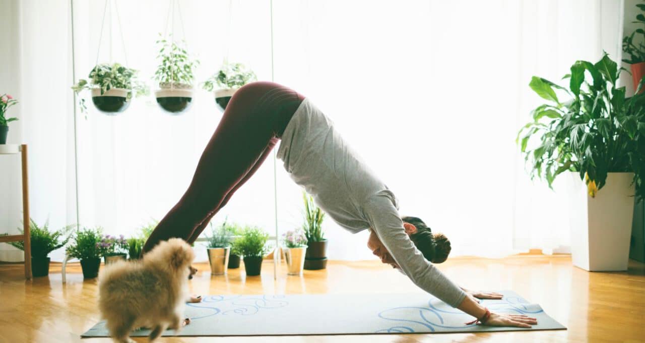 Dein Setup für einen Online Yoga Präventionskurs