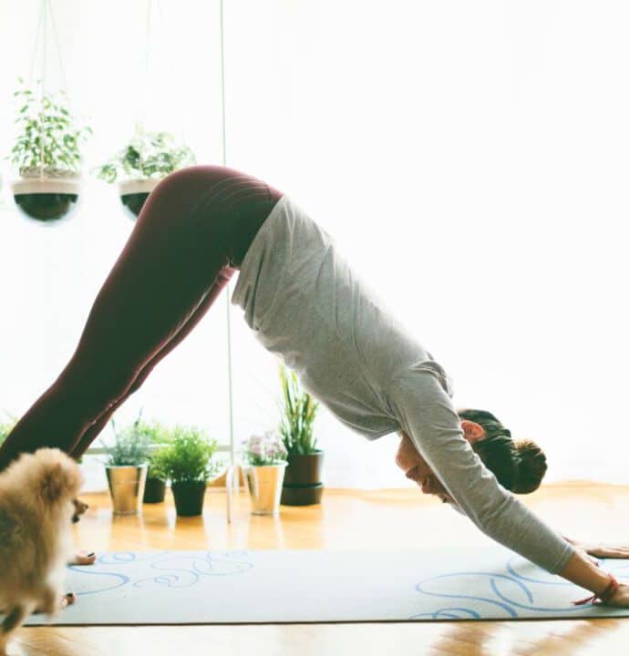 Dein Setup für einen Online Yoga Präventionskurs